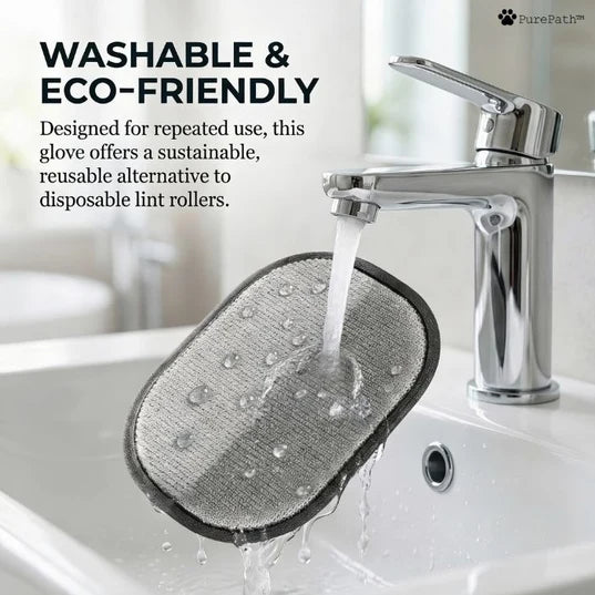 6. Reusable & Eco-Friendly — The Sustainable Choice