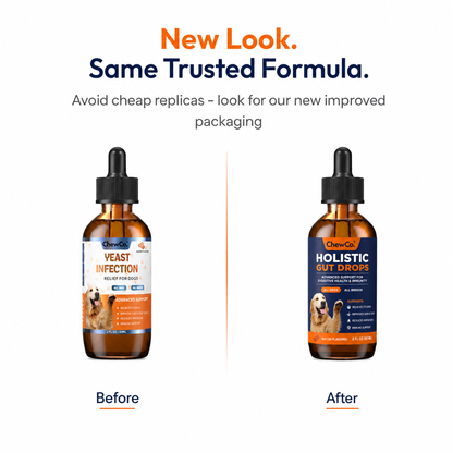 ChewCo's Holistic Gut Drops
