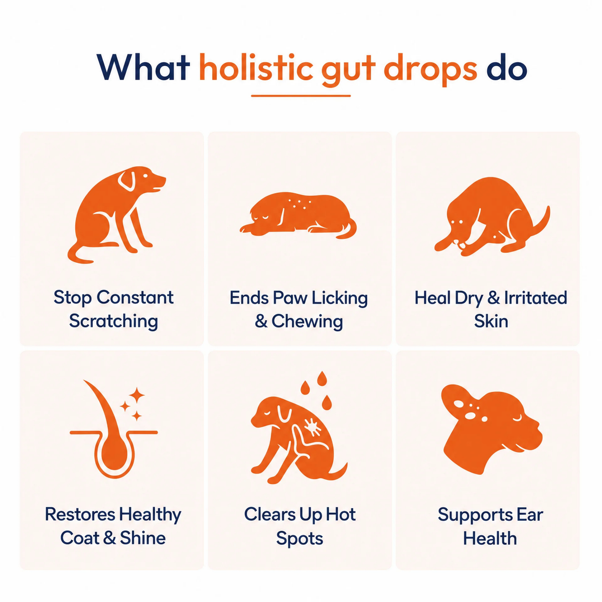 ChewCo's Holistic Gut Drops