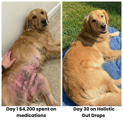 ChewCo's Holistic Gut Drops